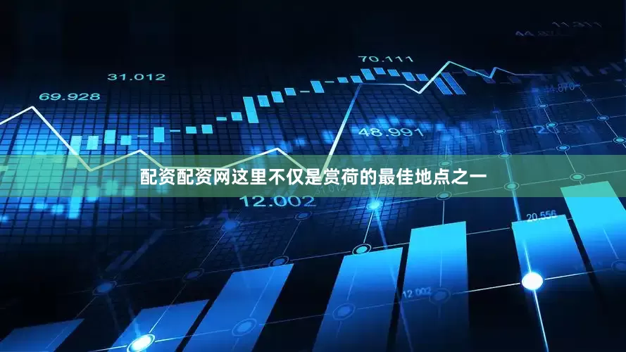 配资配资网这里不仅是赏荷的最佳地点之一